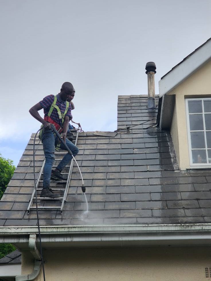 Roof Cleaning